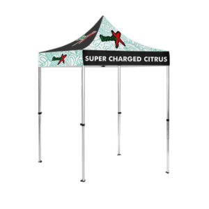 5x5ft Pop-Up Canopy stany